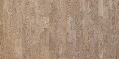 Дуб Рэинбоу Smart