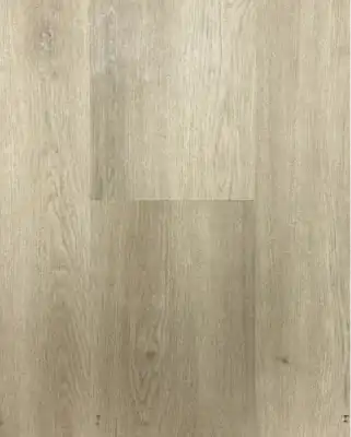 Дуб Кассель