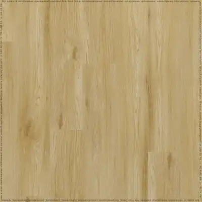 Дуб Чапман (Chapman Oak 05321/400087723)