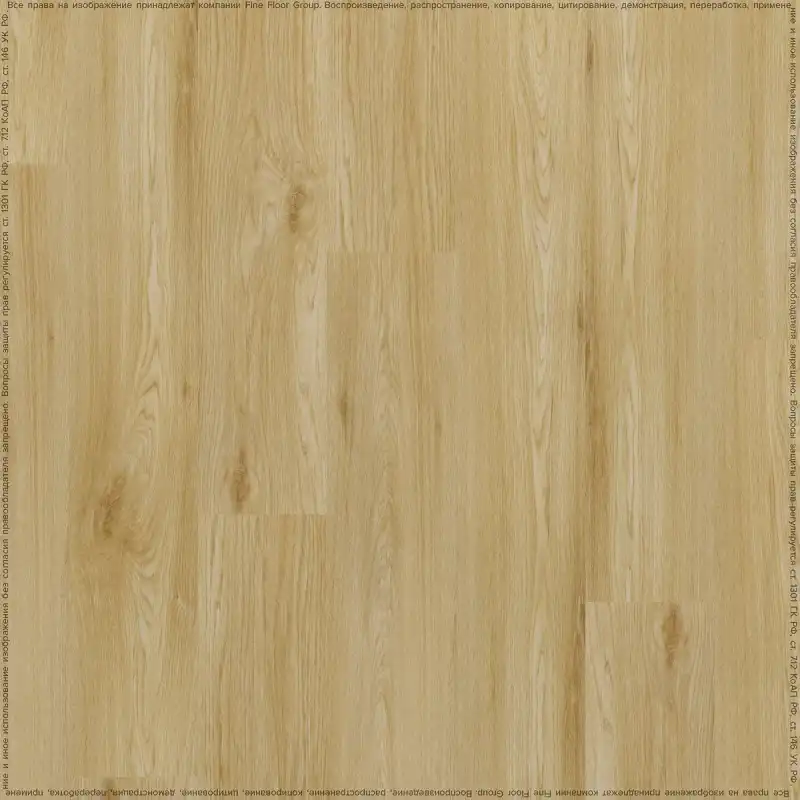 Дуб Чапман (Chapman Oak 05321/400087678)