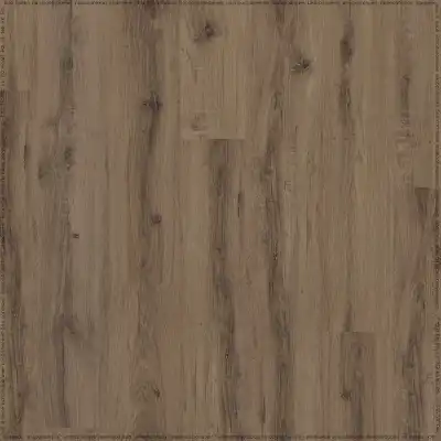 Дуб Европейский (European Oak 04870/400087417)