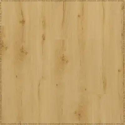 Дуб Европейский (European Oak 04270/400087416)