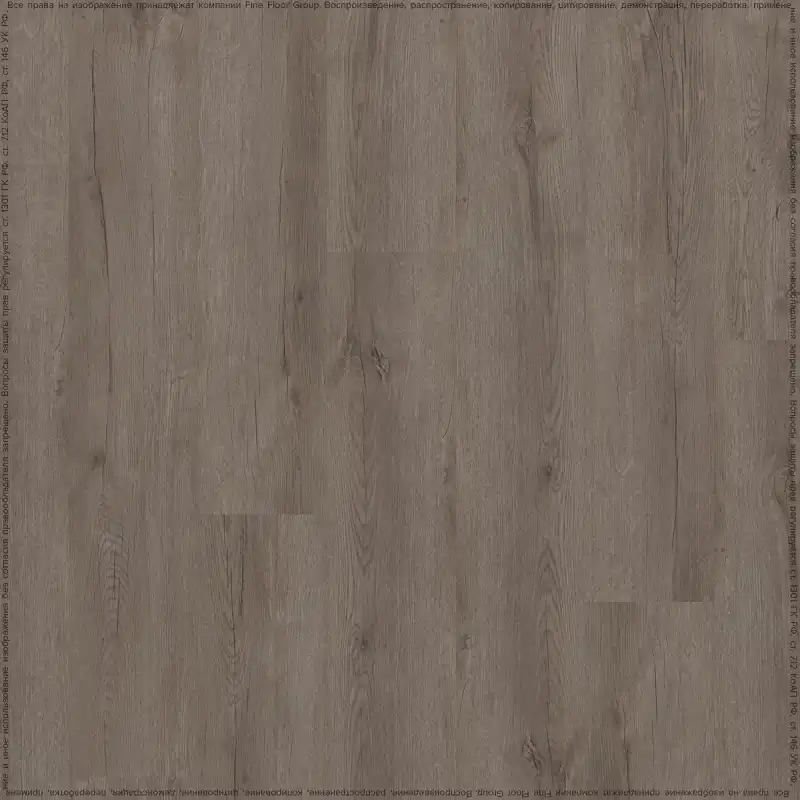 Дуб Мейджор (Major Oak 05929/400087741)