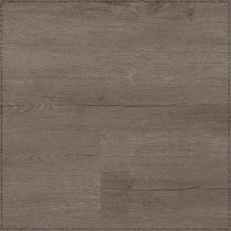Major Oak 05929/400087686