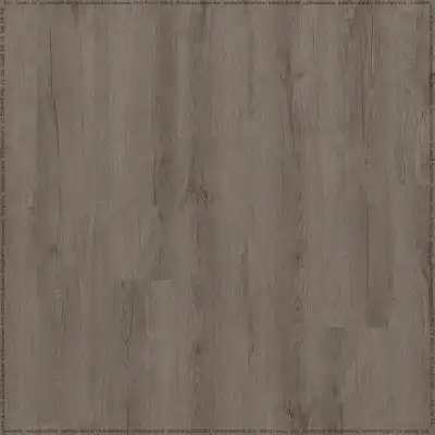 Дуб Мейджор (Major Oak 05929/400087686)