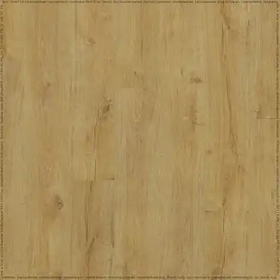 Дуб Себастьян (Sebastian Oak 05325/400087748)