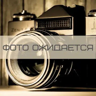 ДУБ Прямой / Фигурный 90/120х17