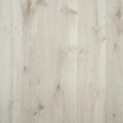 Дуб Камчатский