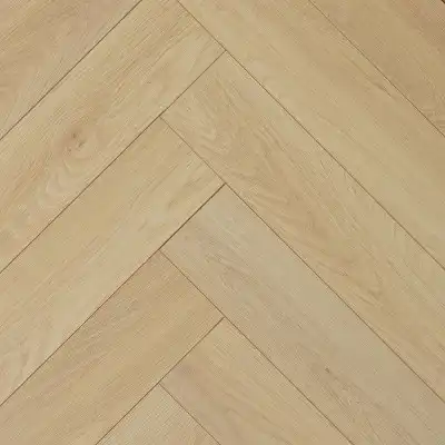 Дуб Илюма