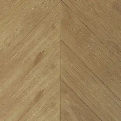 Дуб Халкон