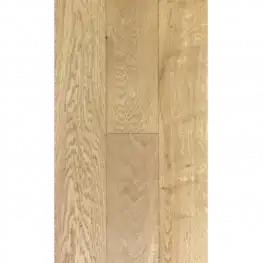 Дуб Stella