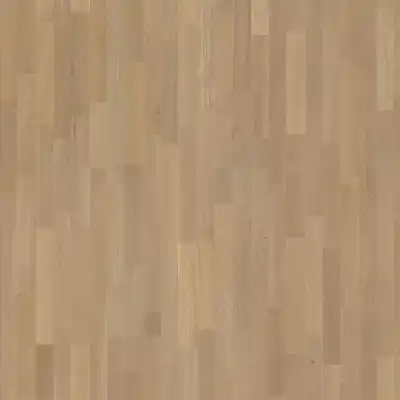 Oak Select New Arctic 3S (Дуб Селект Нью Арктик)