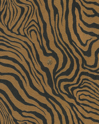 17068