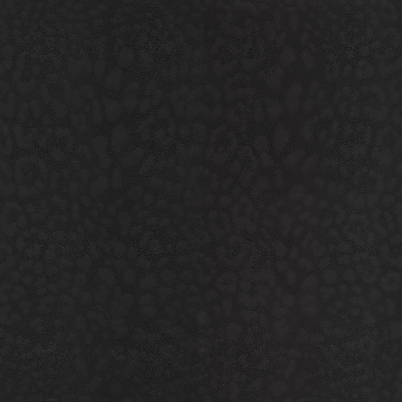 30003DG Leopardo (Allover Leo)