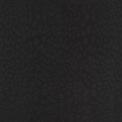 30003DG Leopardo (леопард)