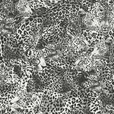 30006DG Leopardo (Branco Leo)