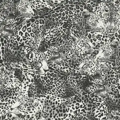 30006DG Leopardo (Branco Leo)