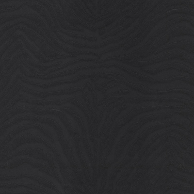 30021DG Zebra (Зебра)
