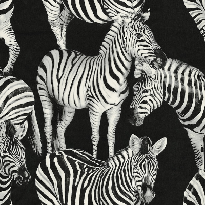 30023DG Zebra (Branco Zebra)