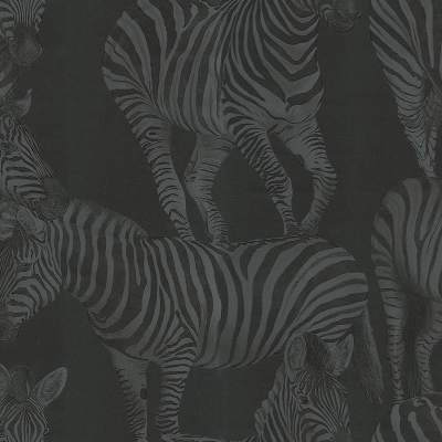 30024DG Zebra (Branco Zebra)
