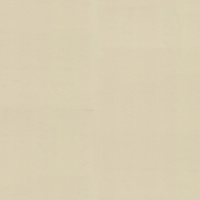 30052DG Fondi Pieni (Taj Mahal)