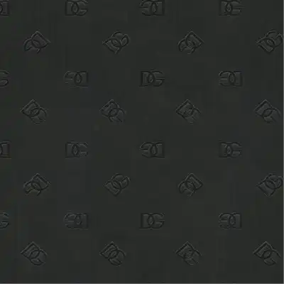 30088DG Logo (B Fil Pose)