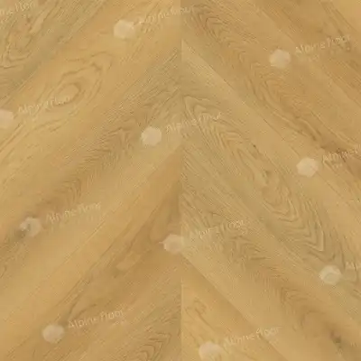 Дуб Олимп