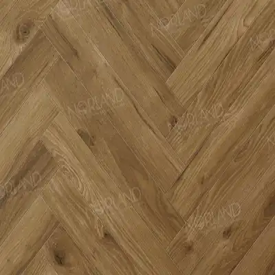 Дуб Корсика