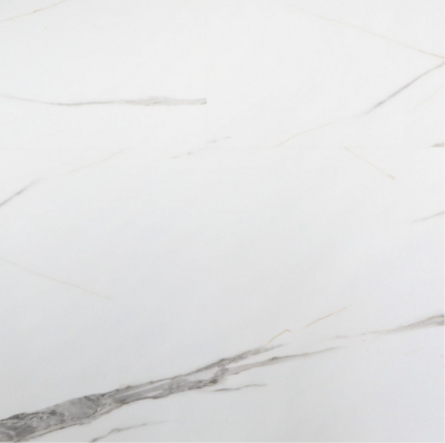 AF5001MSXL Glue