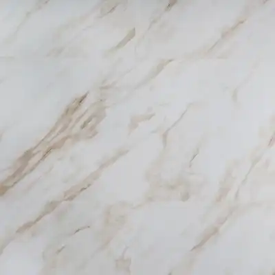 AF5003MSXL Glue