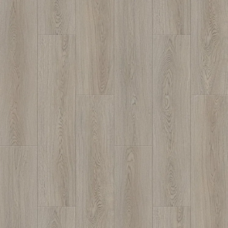 Дуб Карамельный