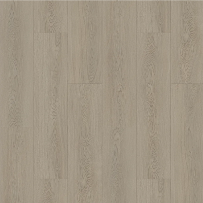 Дуб Кремовый