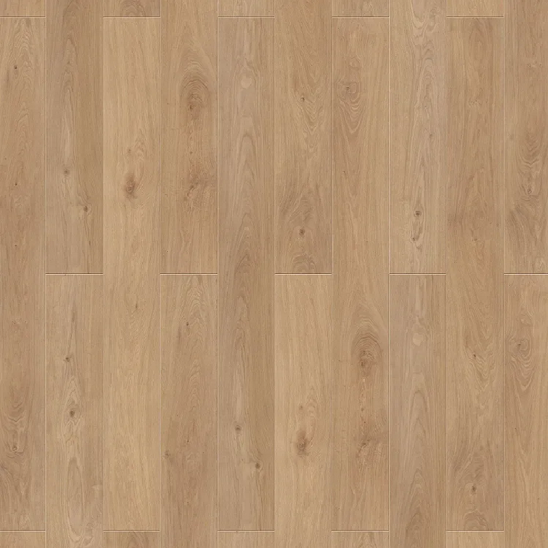 Дуб Медовый