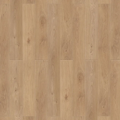 Дуб Медовый