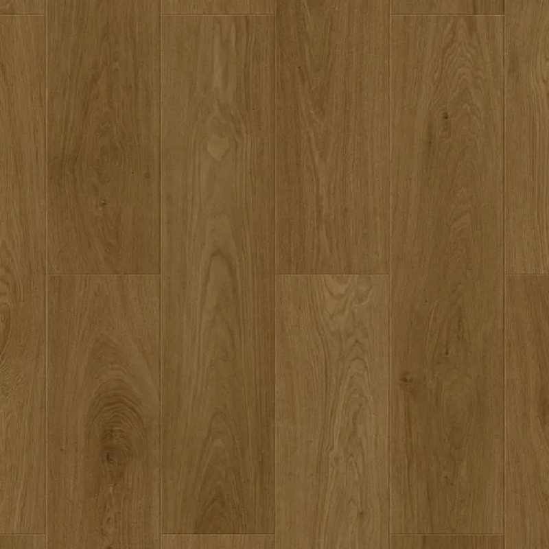 Дуб Мореный