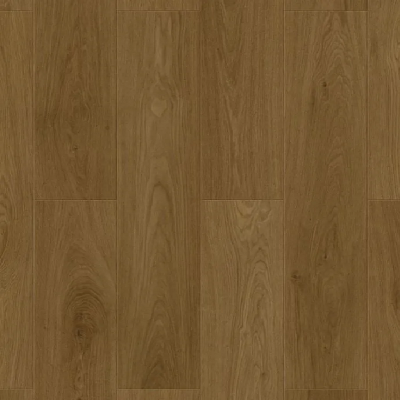 Дуб Мореный