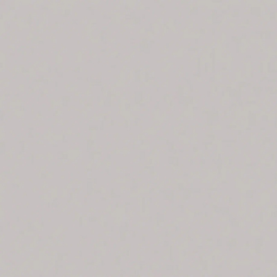 WG0203 уни перламутрово серое