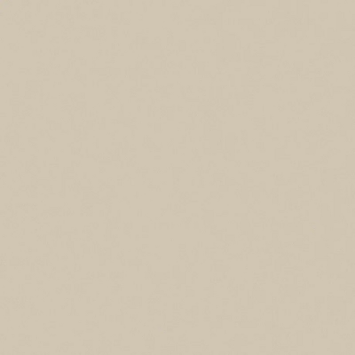 WG0212 уни перламутровое бежевое