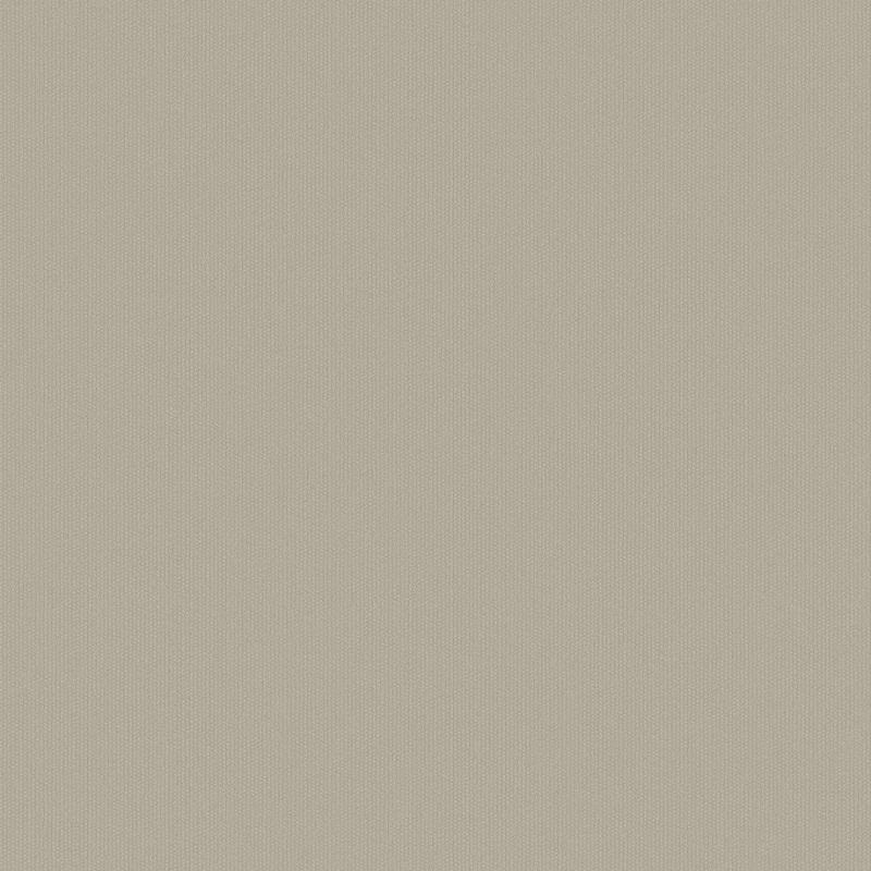 WG0505 уни св.коричнев.рогожка с серебр.напылением