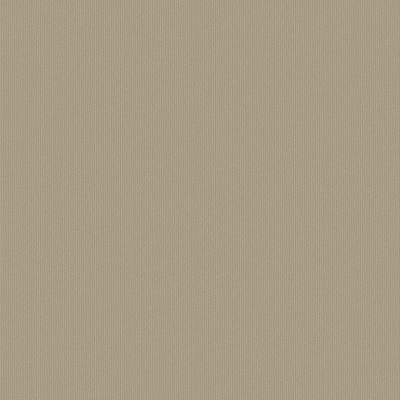 WG0511 рогожка матовая темно-бежевая