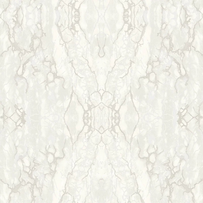 ER6909 мотив паутина шампань