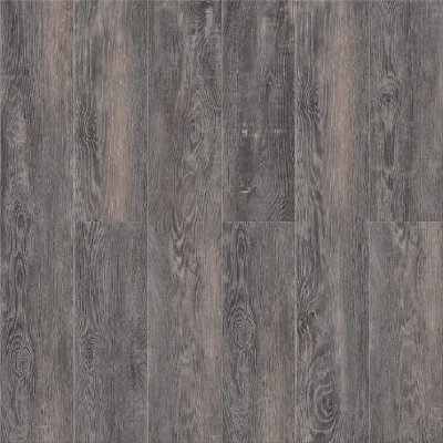  Дуб Морёный