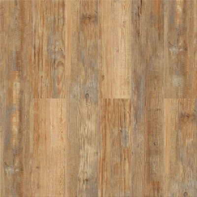  Сосна Медовая 