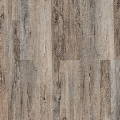 Дуб Французский