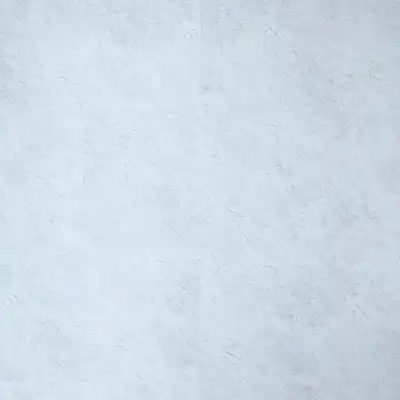 Саламон