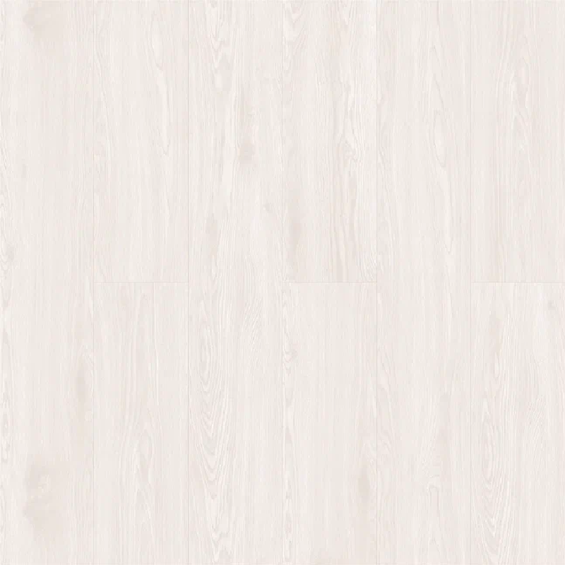 Дуб Стокгольм