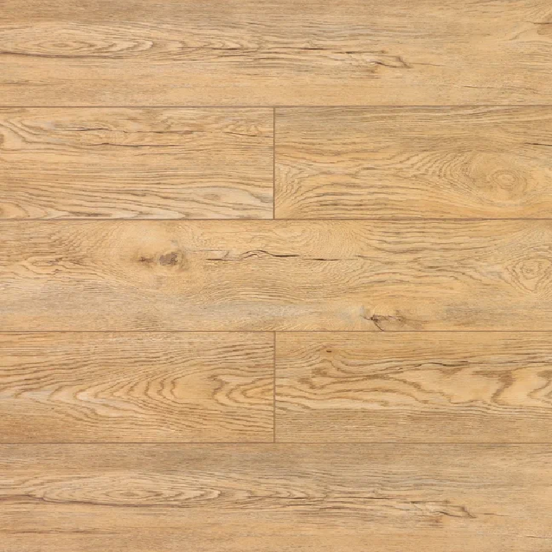 Дуб Паланга