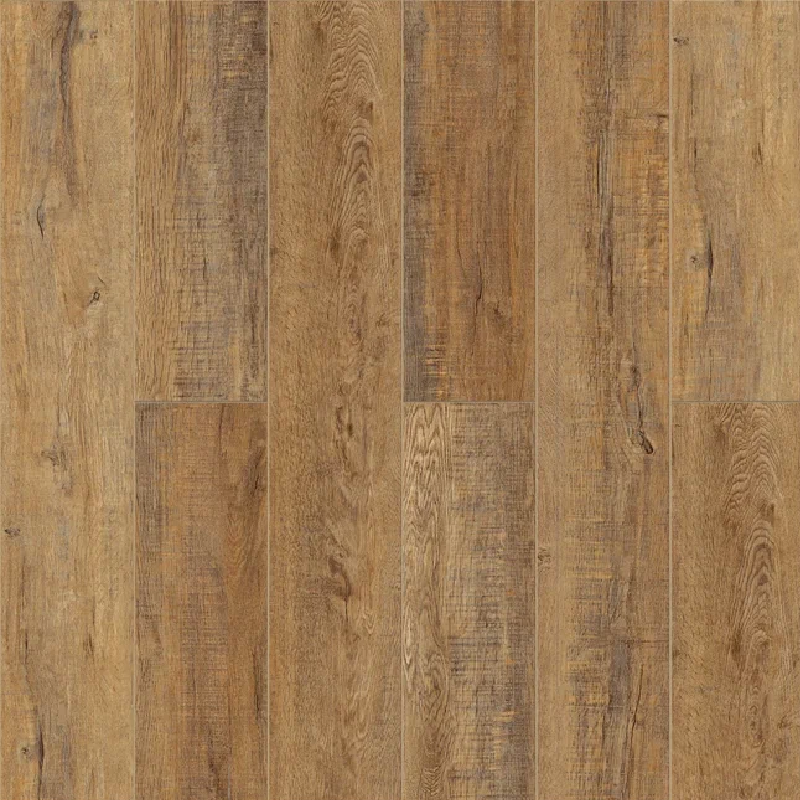  Дуб Робуста