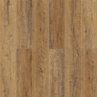  Дуб Робуста