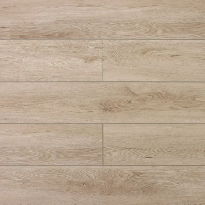  Дуб Клайпеда